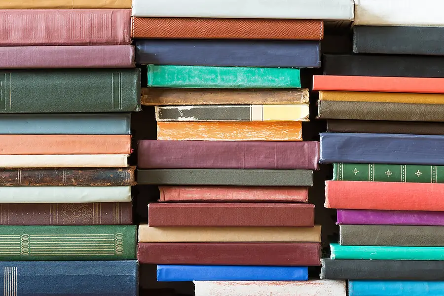 Illustration de l’article : Une des plus grandes romancière de langue anglaise...